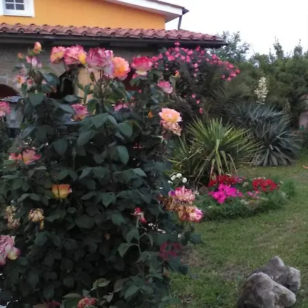 La Casetta Di Samba Anguillara Sabazia Exterior foto