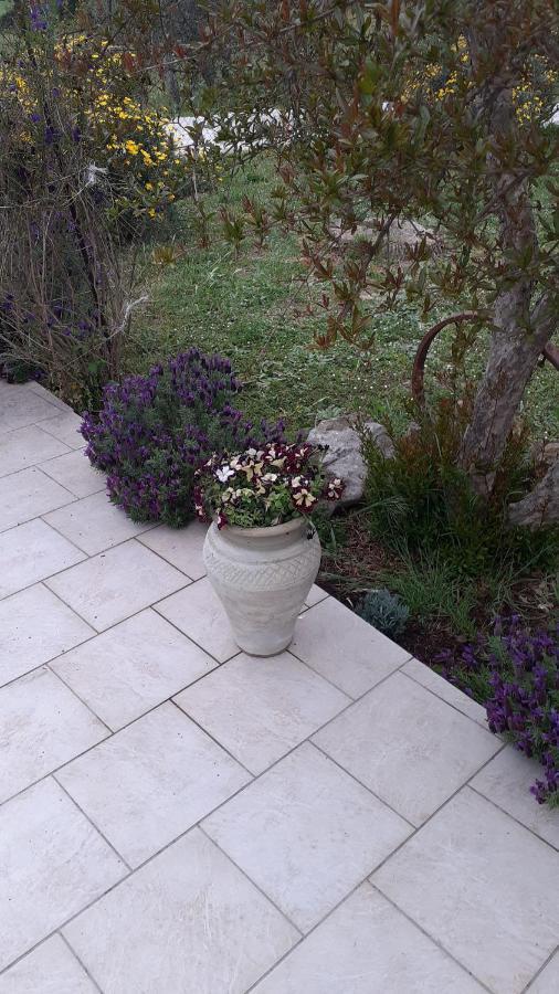 La Casetta Di Samba Holiday home