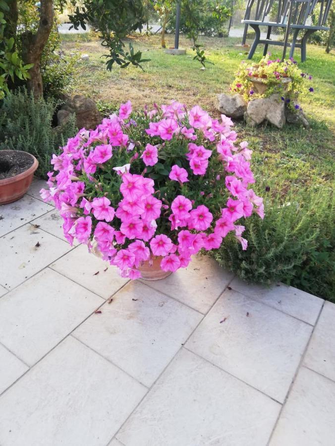Holiday home La Casetta Di Samba